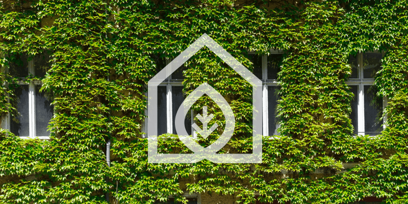 Sustainability Best-Practices